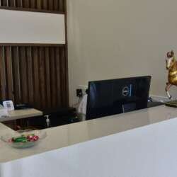 Fortune Gallery (12)